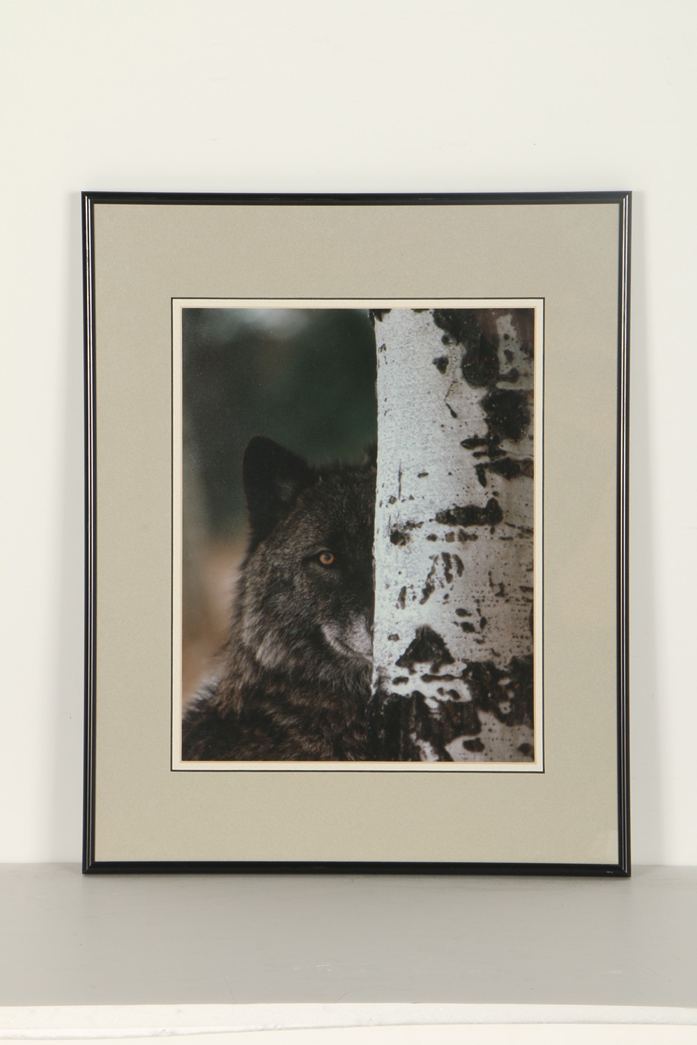 Three Framed Animal Prints EBTH