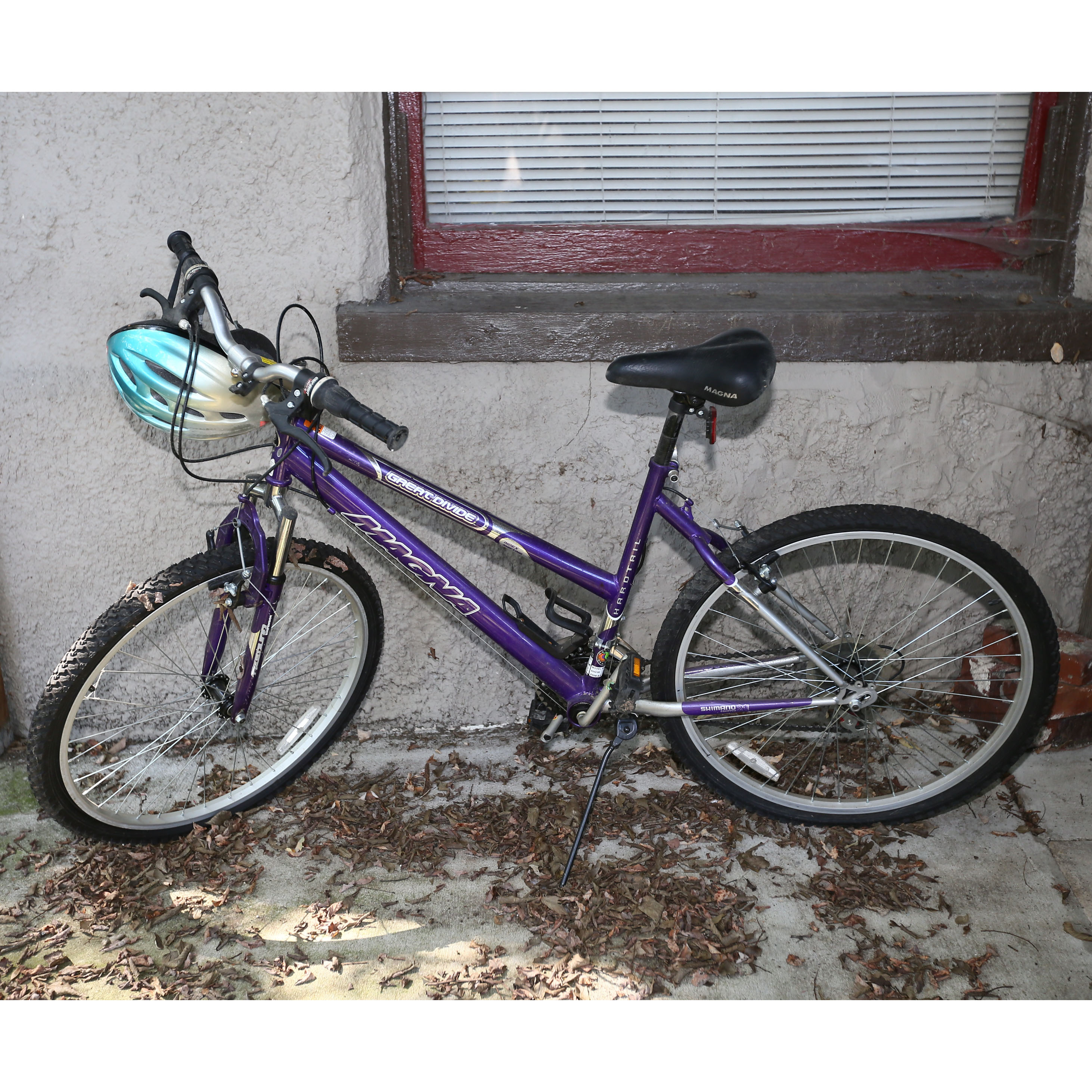 purple magna bike