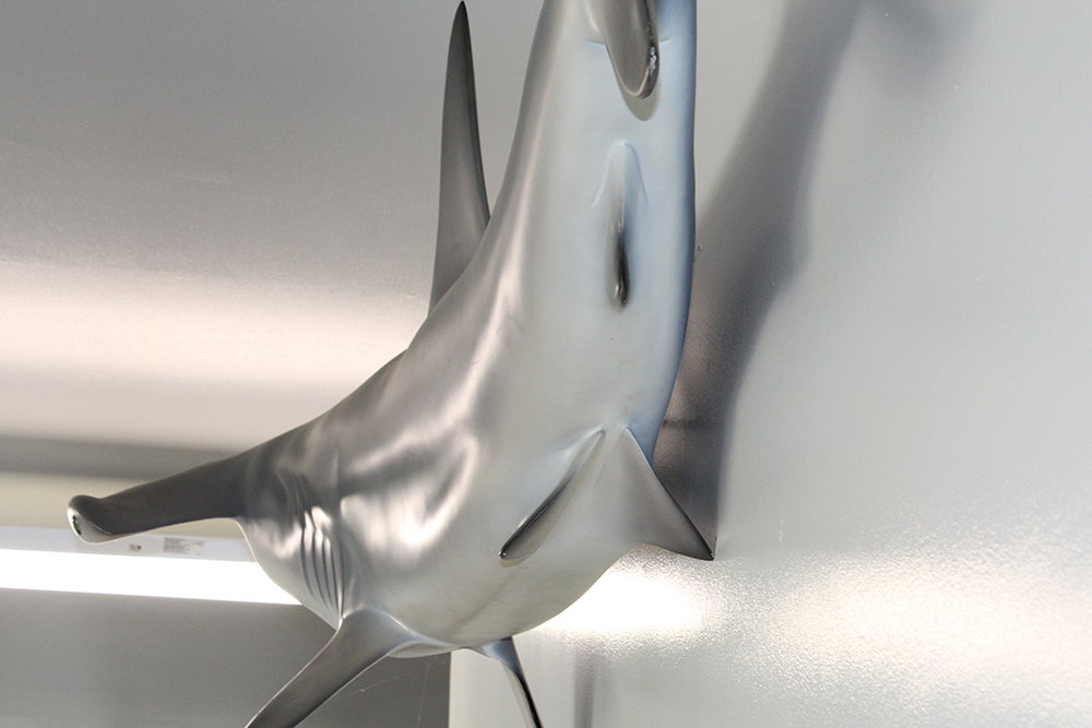 Large 8' Hammerhead Shark Molded Wall Mount | EBTH