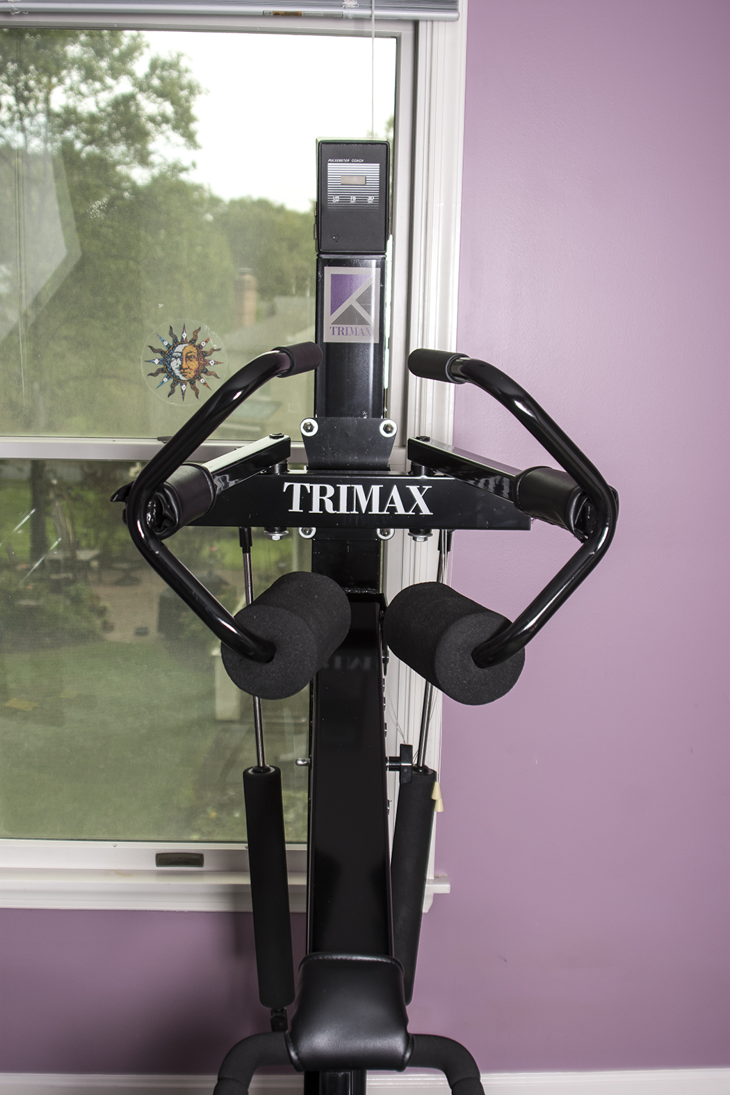 merax home gym