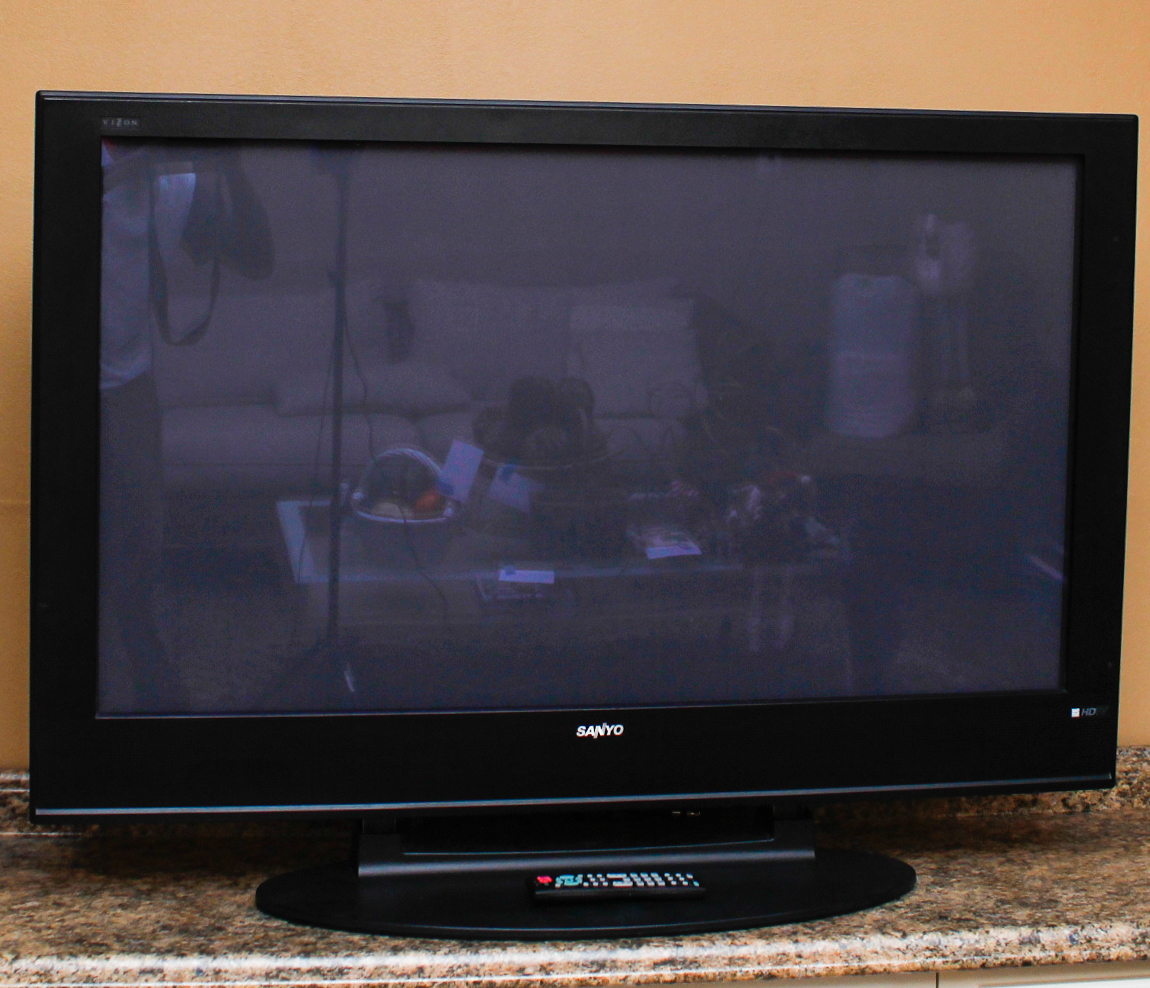 Sanyo Vizon 50" Plasma Television EBTH