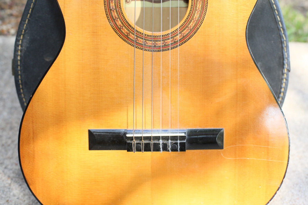 Gremlin Classical Style Acoustic Guitar With Case EBTH