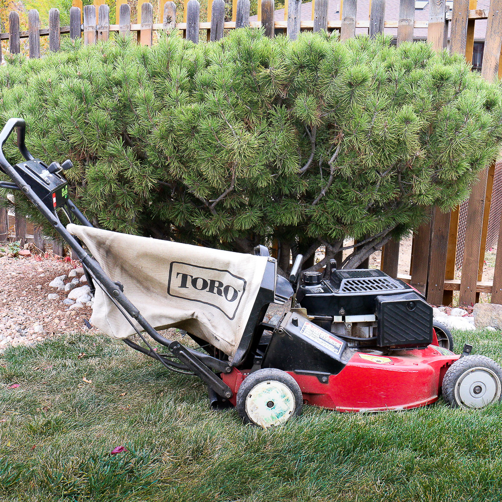 Toro 21" Super Recycler Gas Powered Lawnmower EBTH