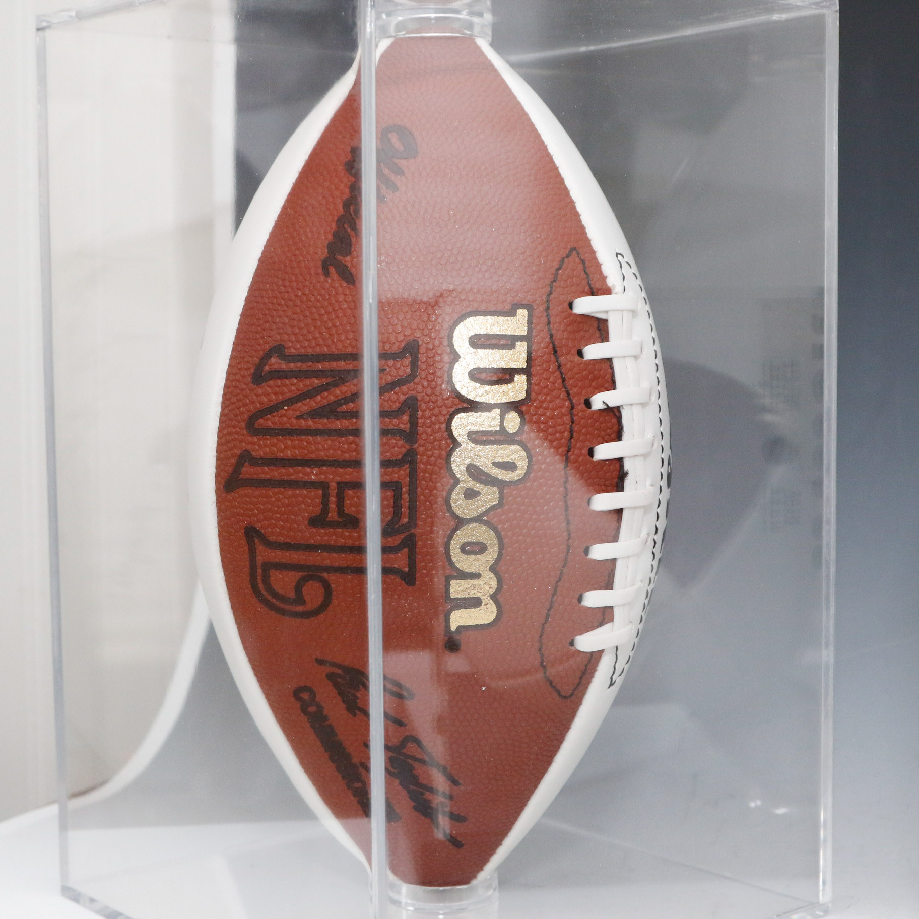 Bengals Chad Johnson and Rich Braham Autographed Footballs in Acrylic