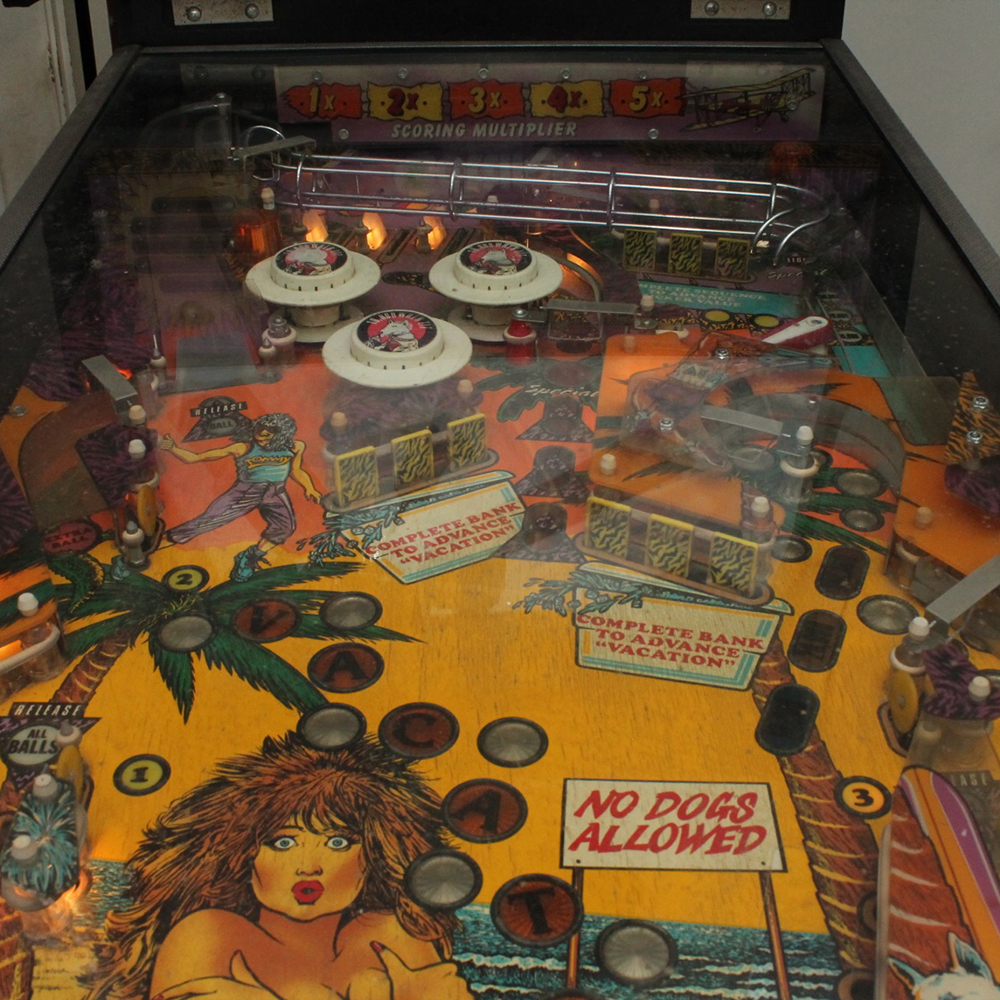 1980s "Spring Break" Pinball Machine EBTH