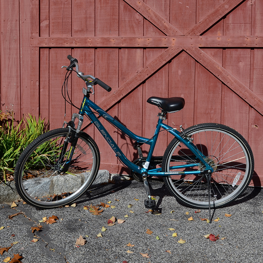 glendale women's bike