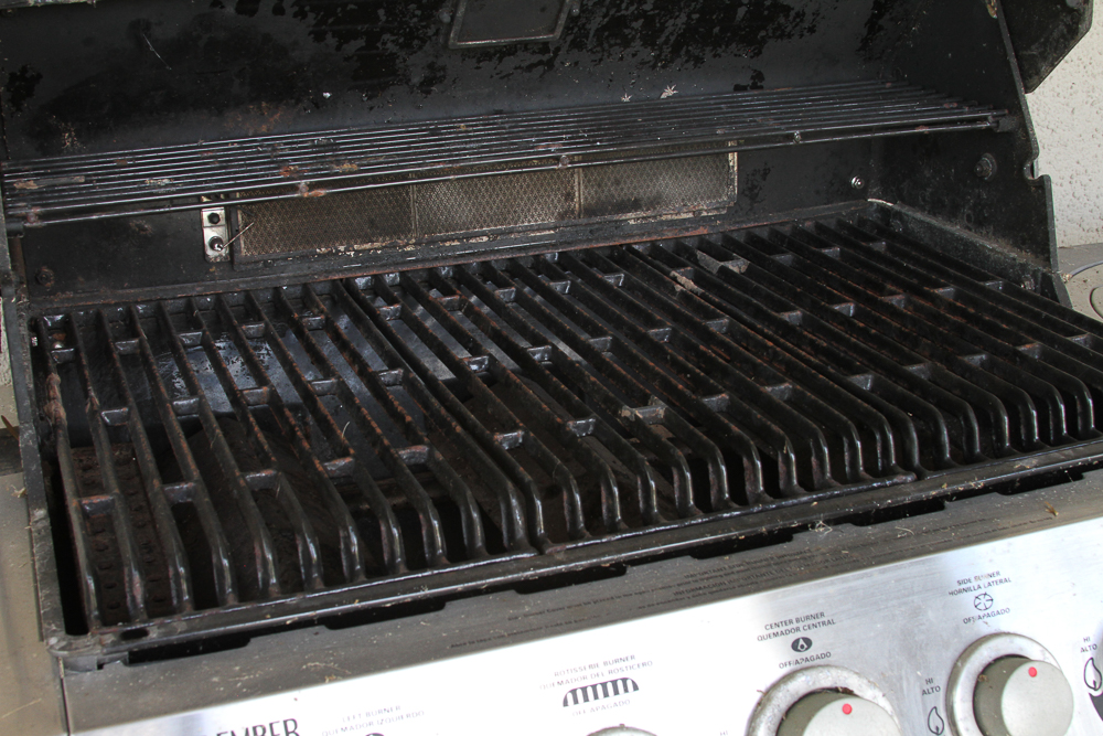 Blue Ember Gas Grill EBTH