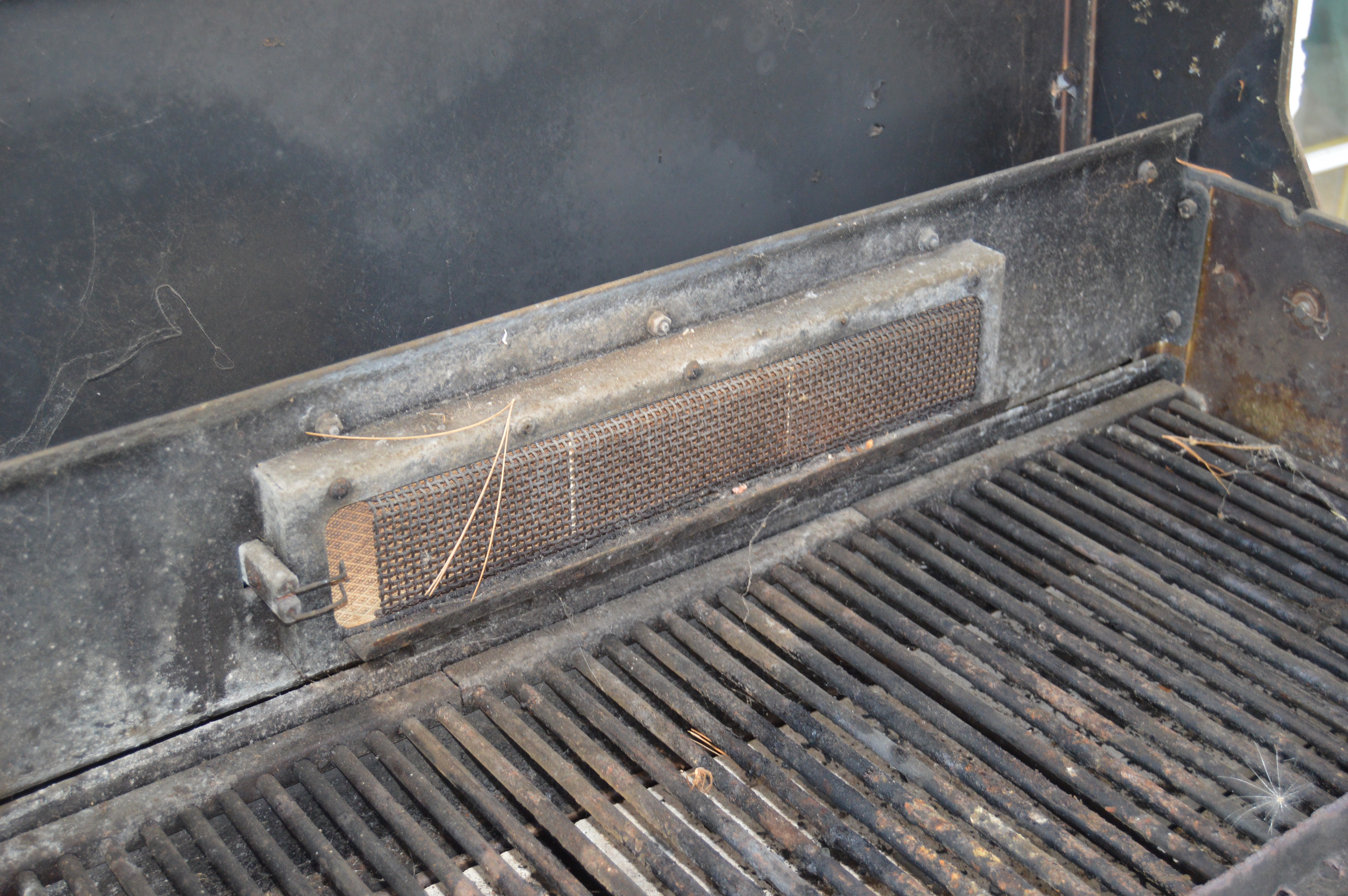 Member's Mark Stainless Steel Outdoor Gas Grill EBTH