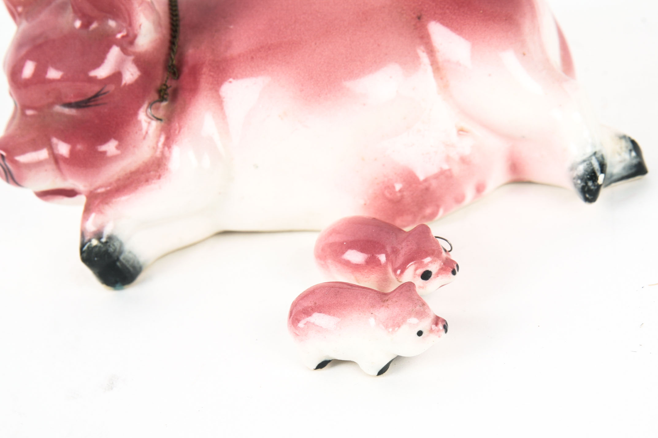 Decorative Home Accent Collection EBTH