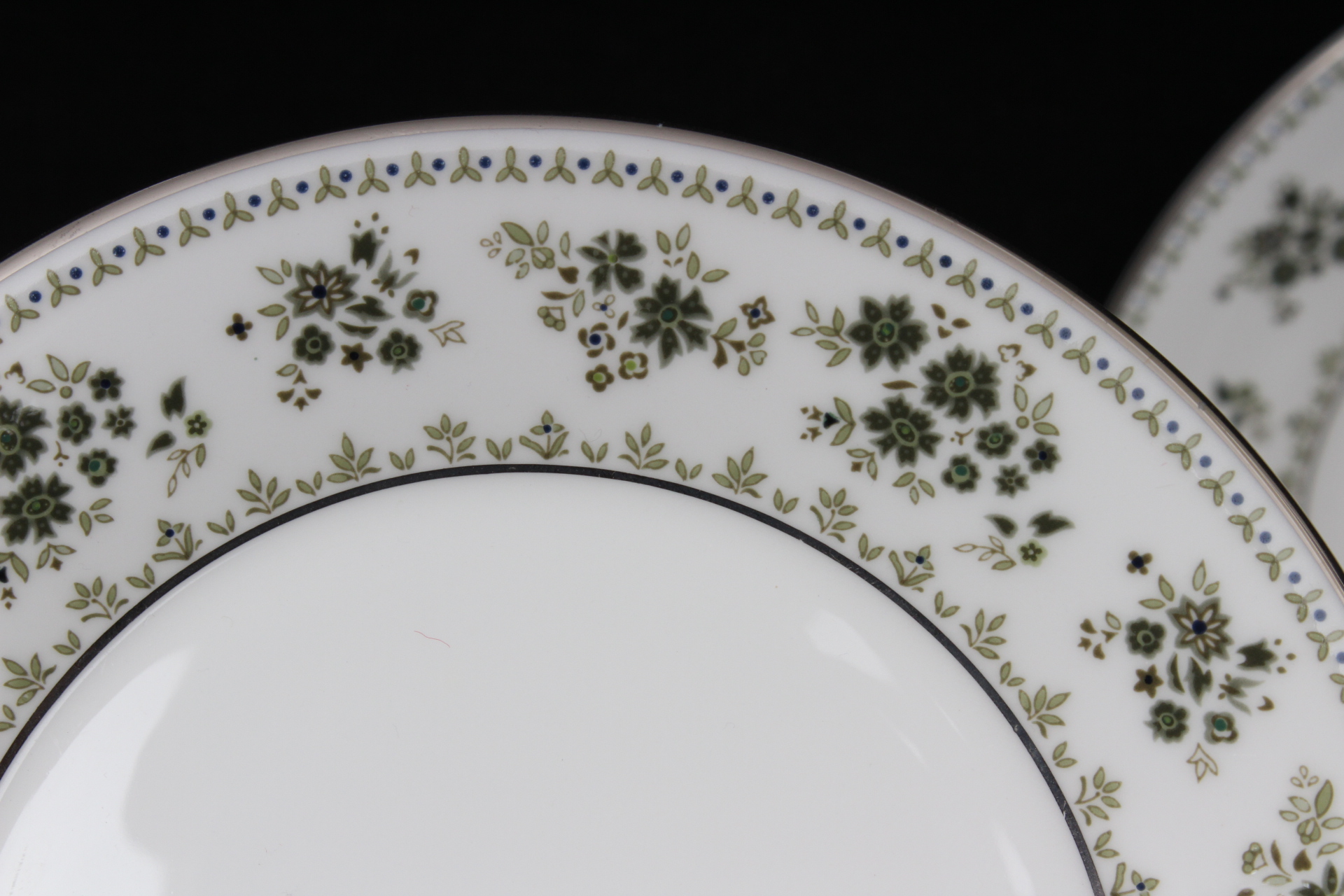 Royal Doulton "Valley Green" Pattern Fine Bone China EBTH