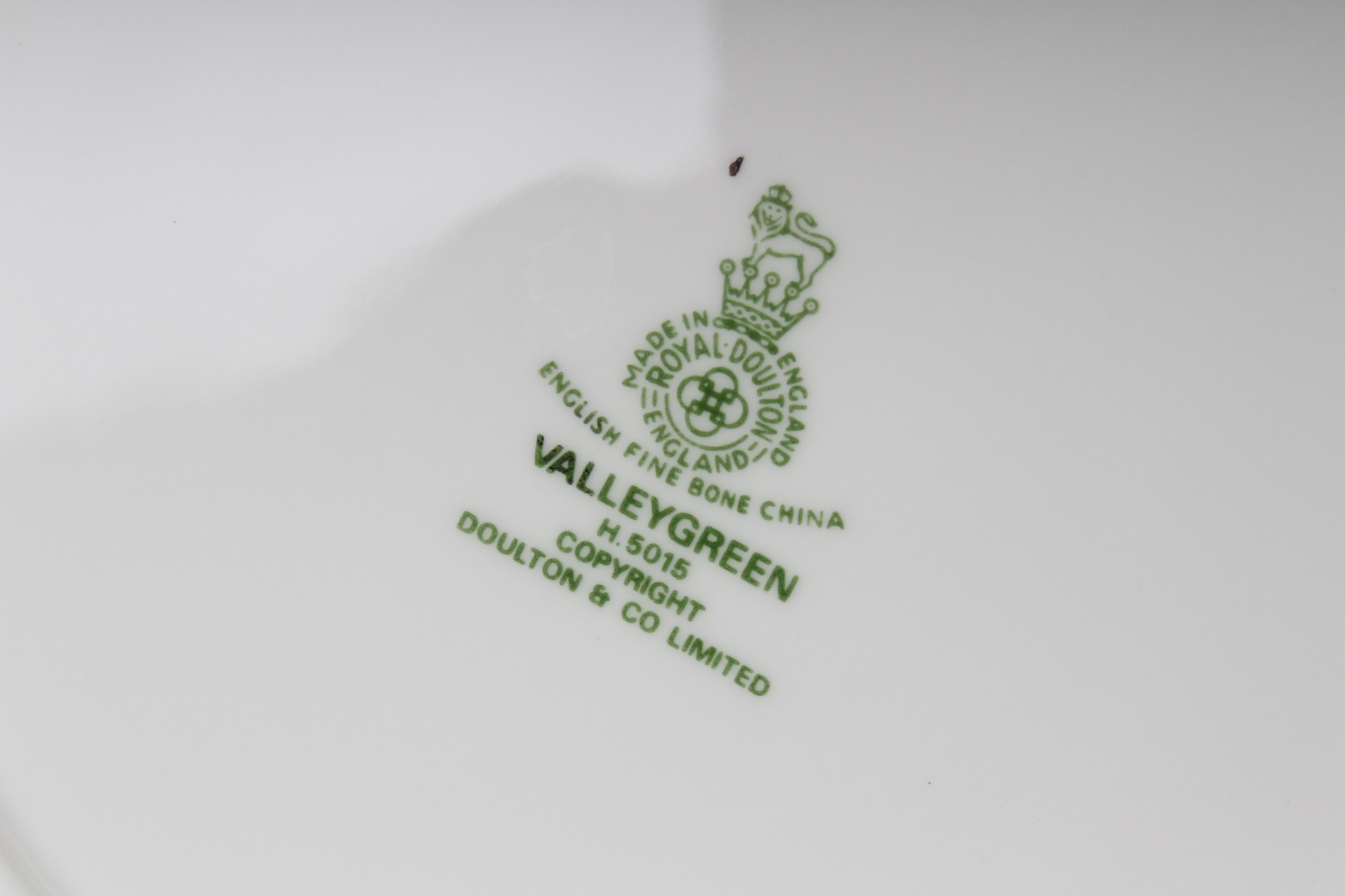 Royal Doulton "Valley Green" Pattern Fine Bone China EBTH