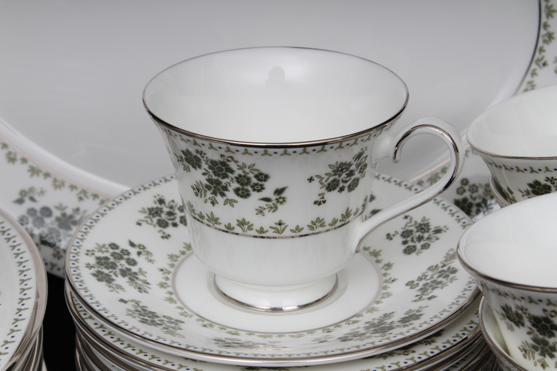 Royal Doulton "Valley Green" Pattern Fine Bone China EBTH
