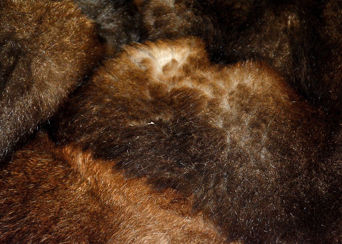 Australian Possum Fur Coat EBTH