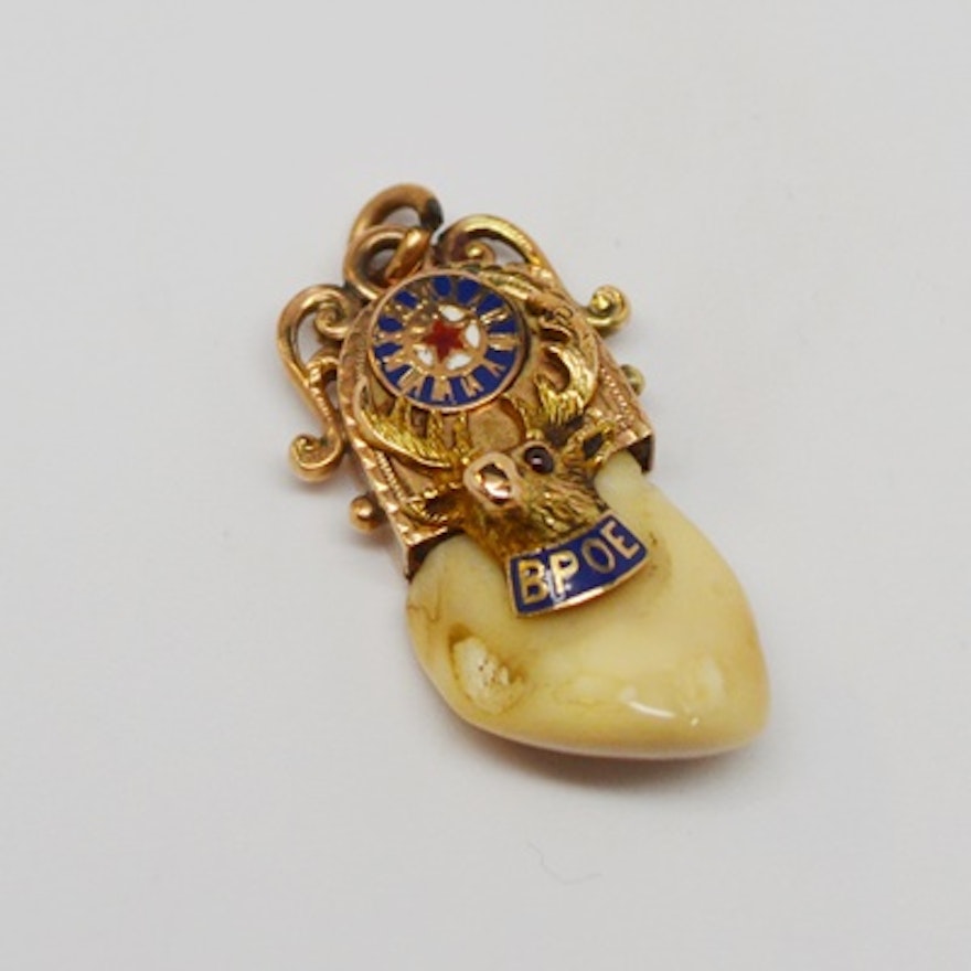 Elks tooth pendant clearance