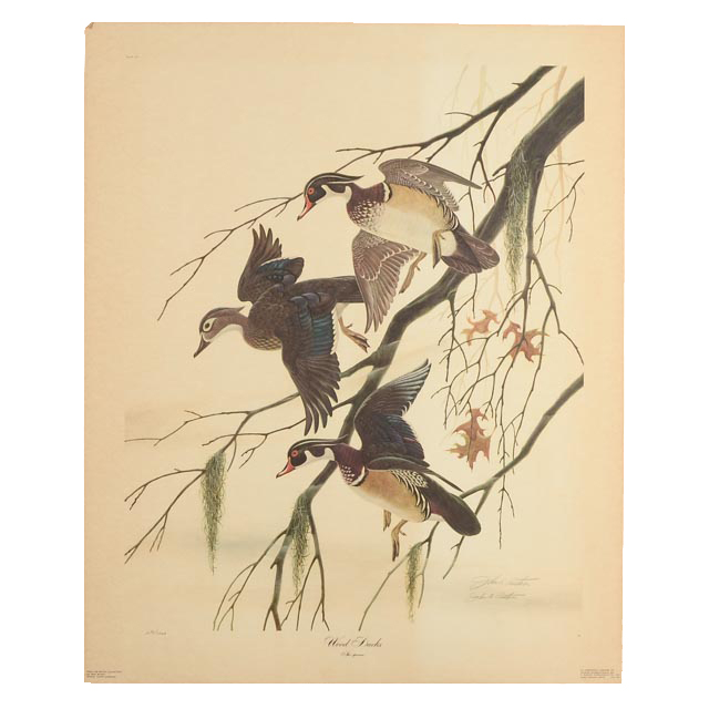 John Ruthven Signed Limited Edition Offset Lithograph "Wood Ducks" EBTH