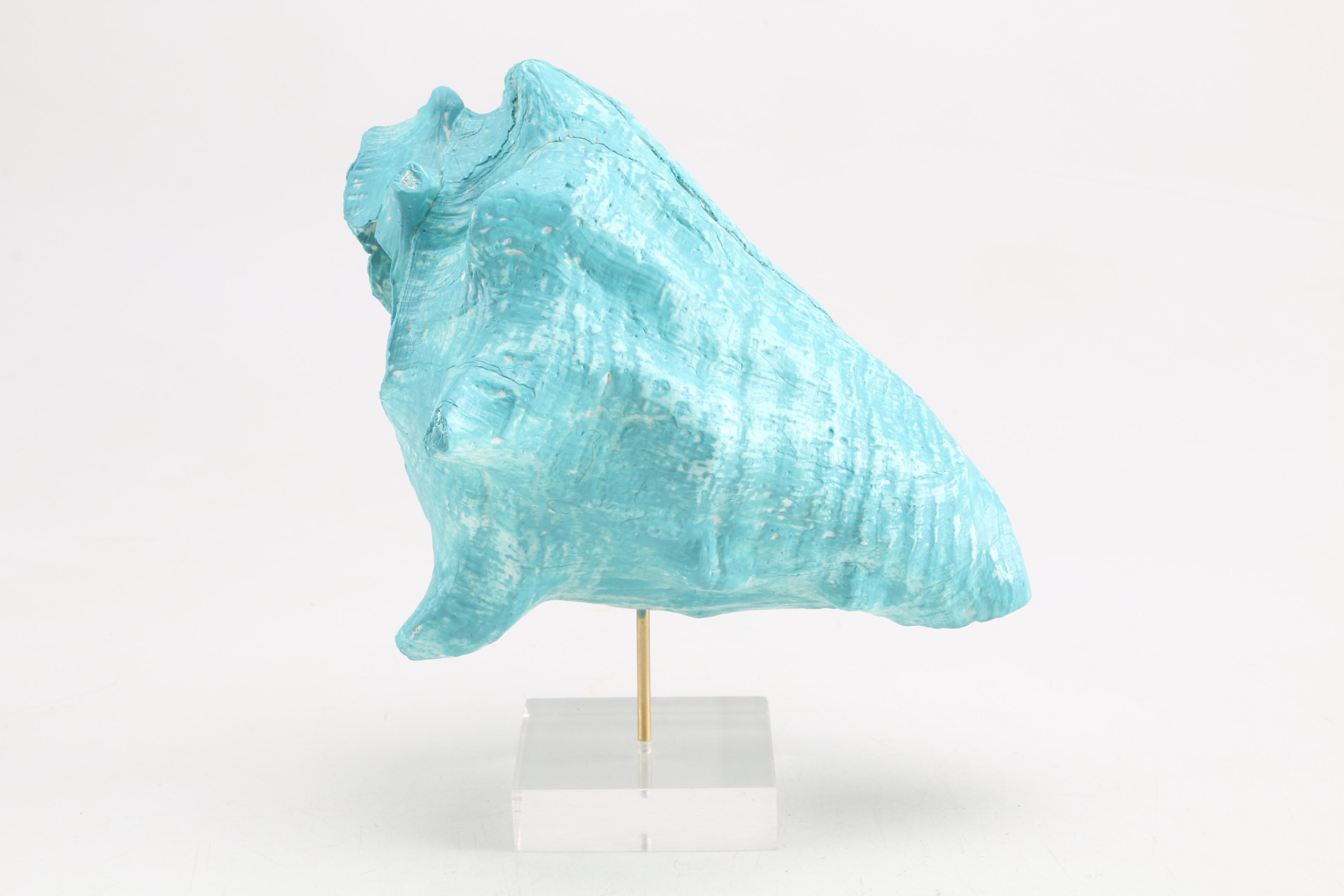 Shell and Wire Art | EBTH