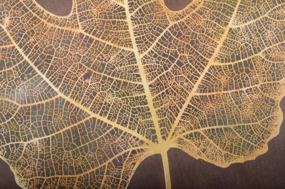 Decorative Leaf Wall Art | EBTH