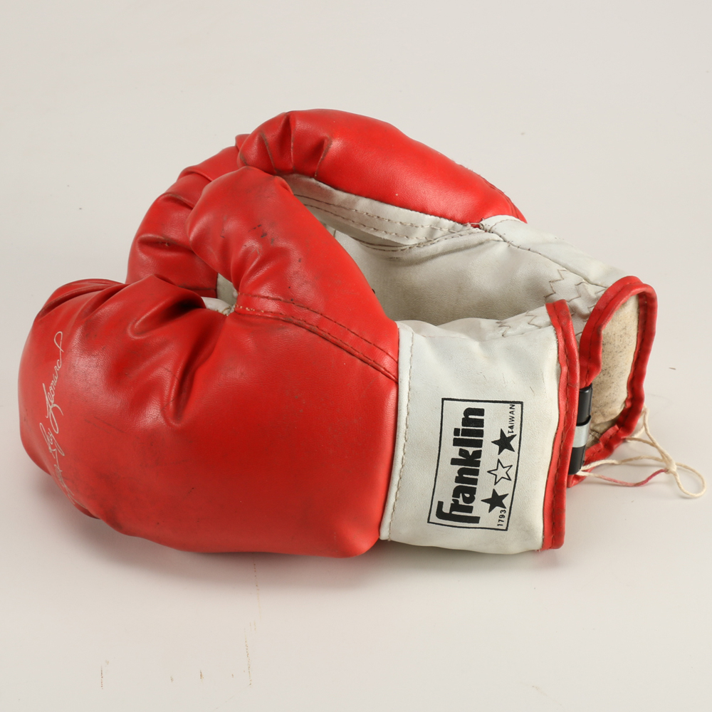 franklin boxing gloves