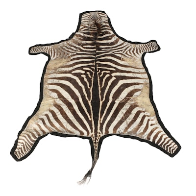 Zebra Pelt Area Rug Zebra Pelt Area Rug