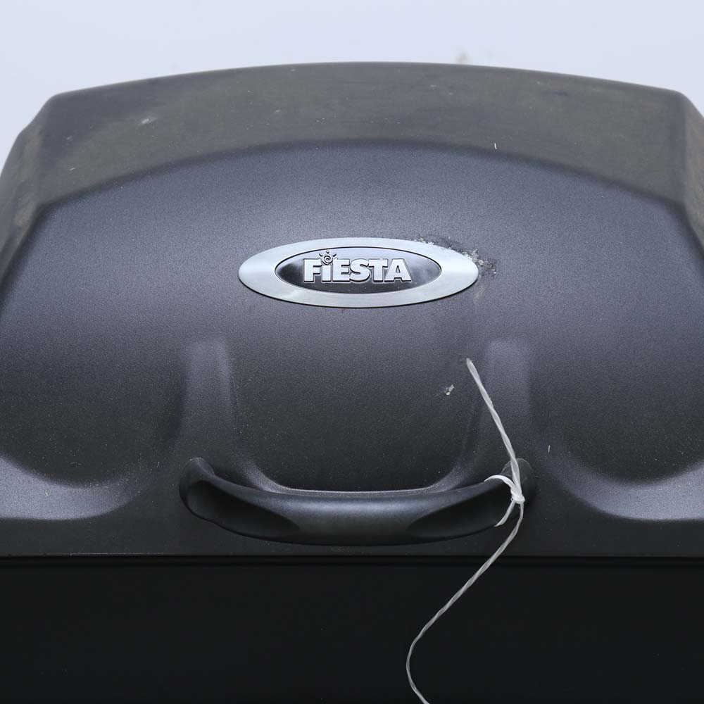 Fiesta Outdoor Gas Grill with Sideburner EBTH