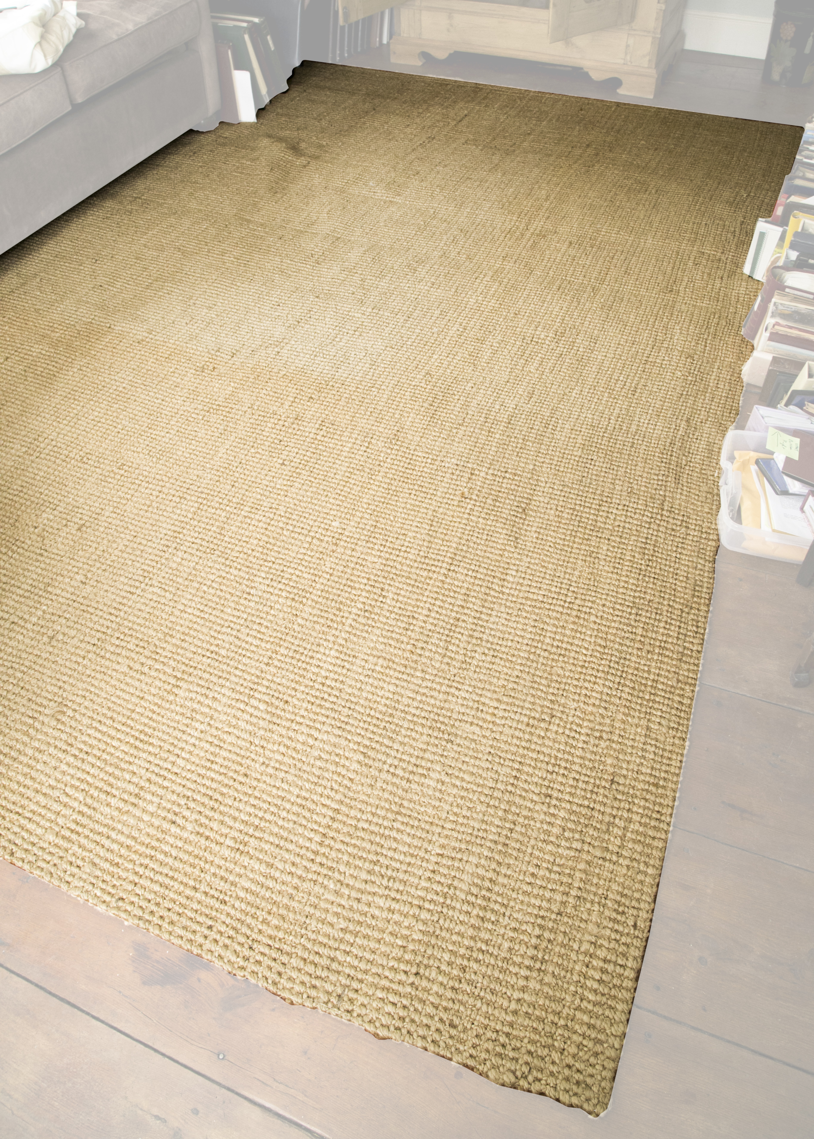 West Elm Jute Boucle Area Rug EBTH
