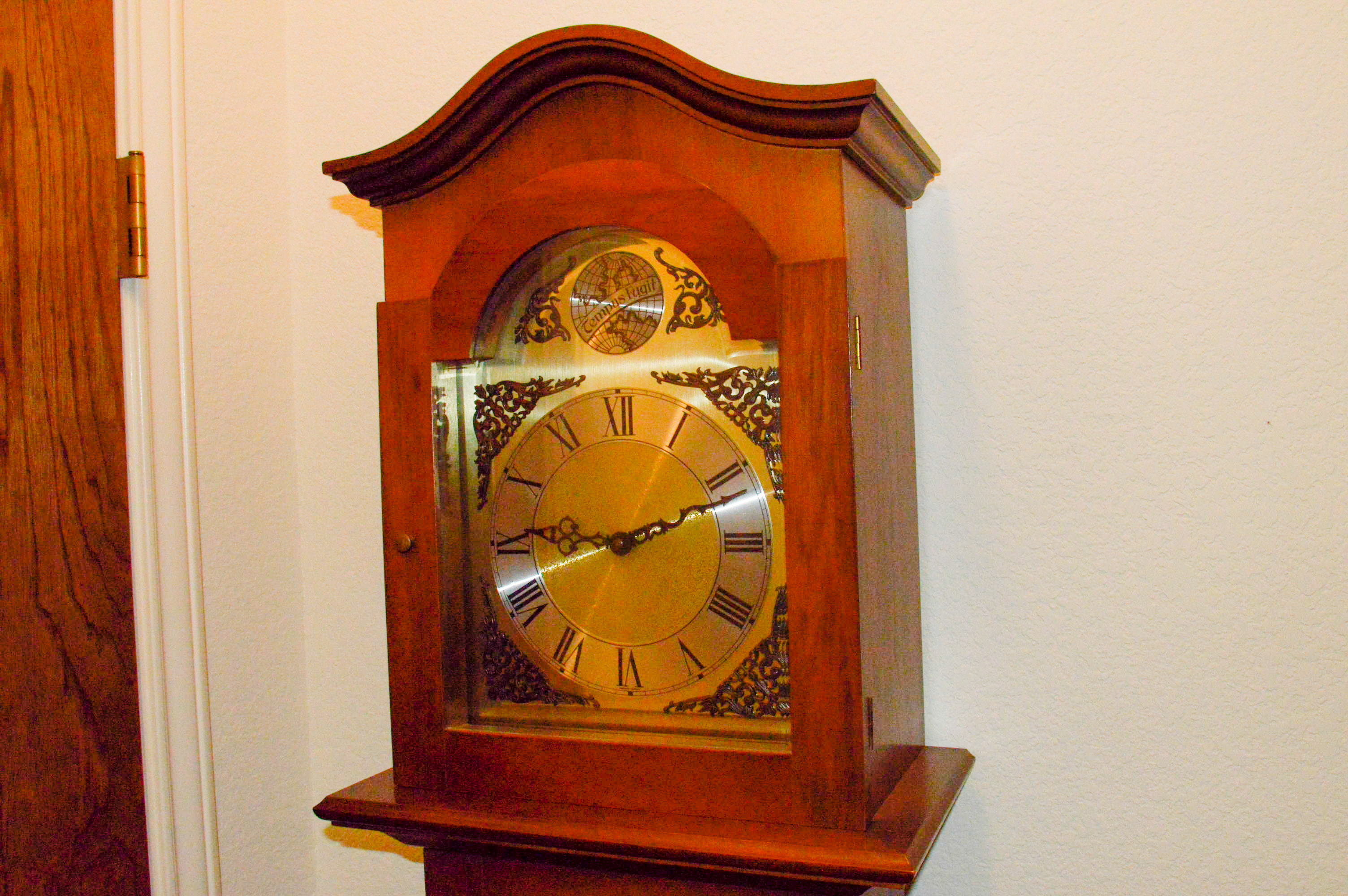Tempus Fugit Western Germany Grandfather Clock EBTH