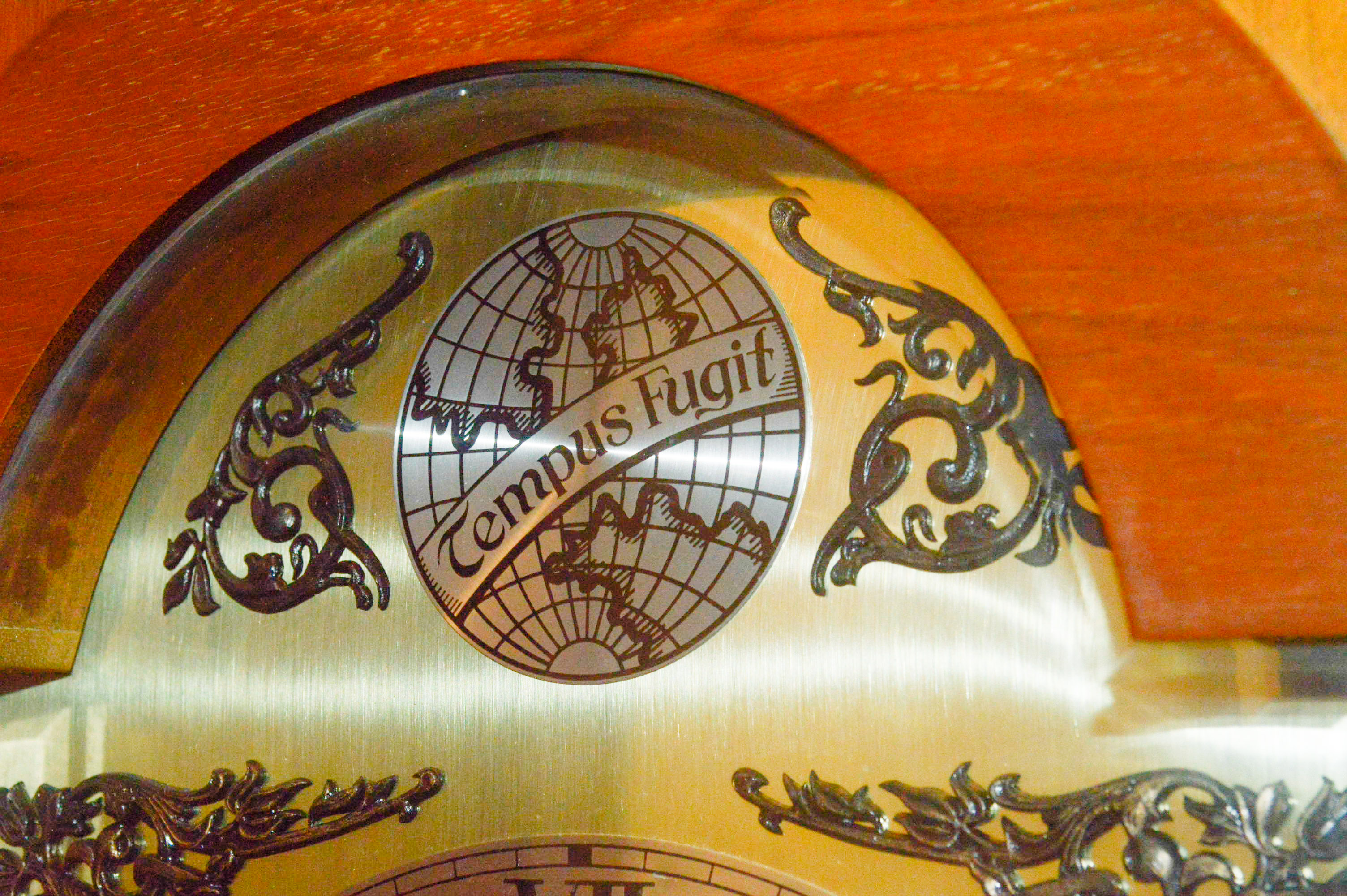 Tempus Fugit Western Germany Grandfather Clock EBTH