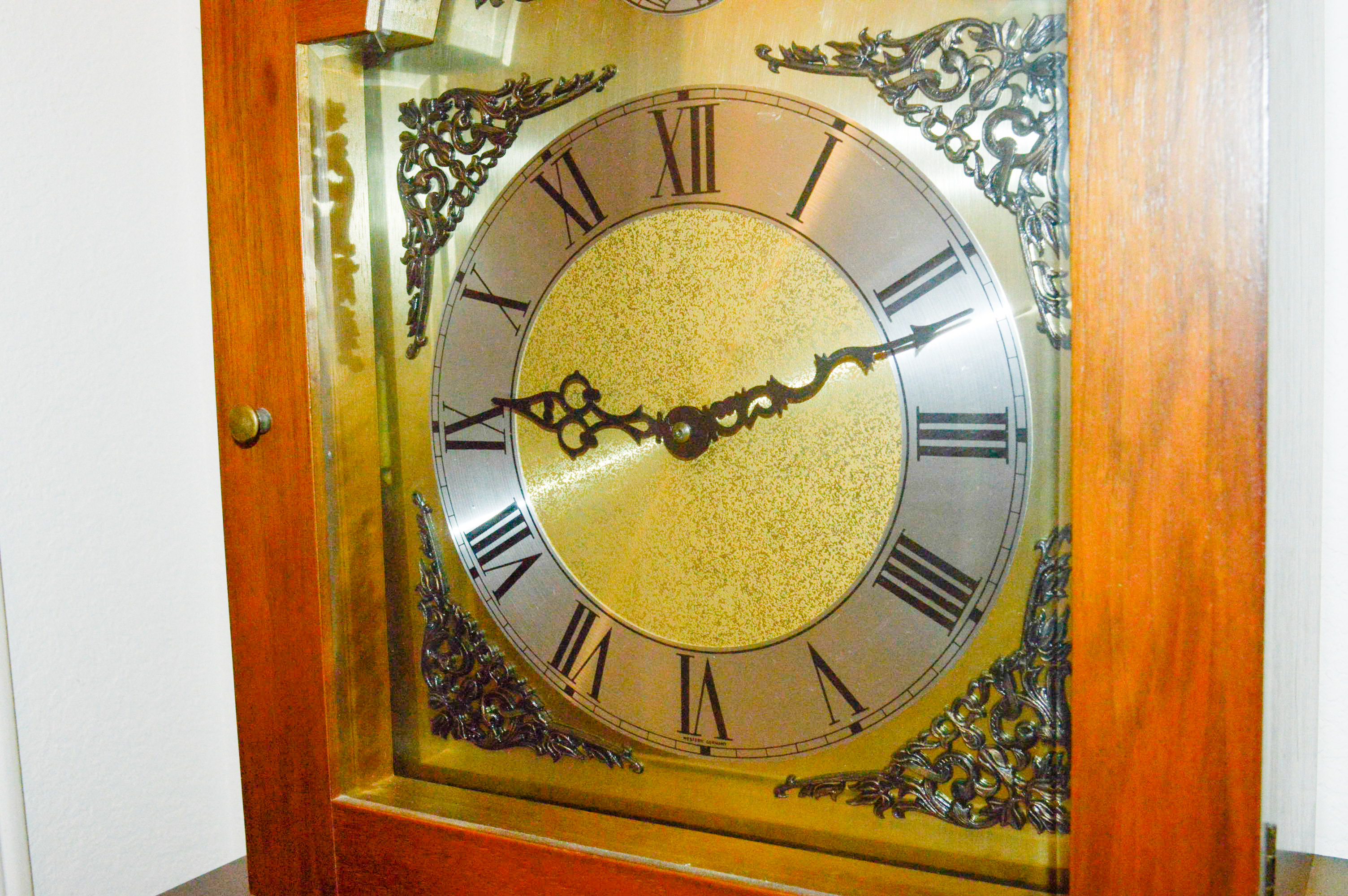Tempus Fugit Western Germany Grandfather Clock EBTH