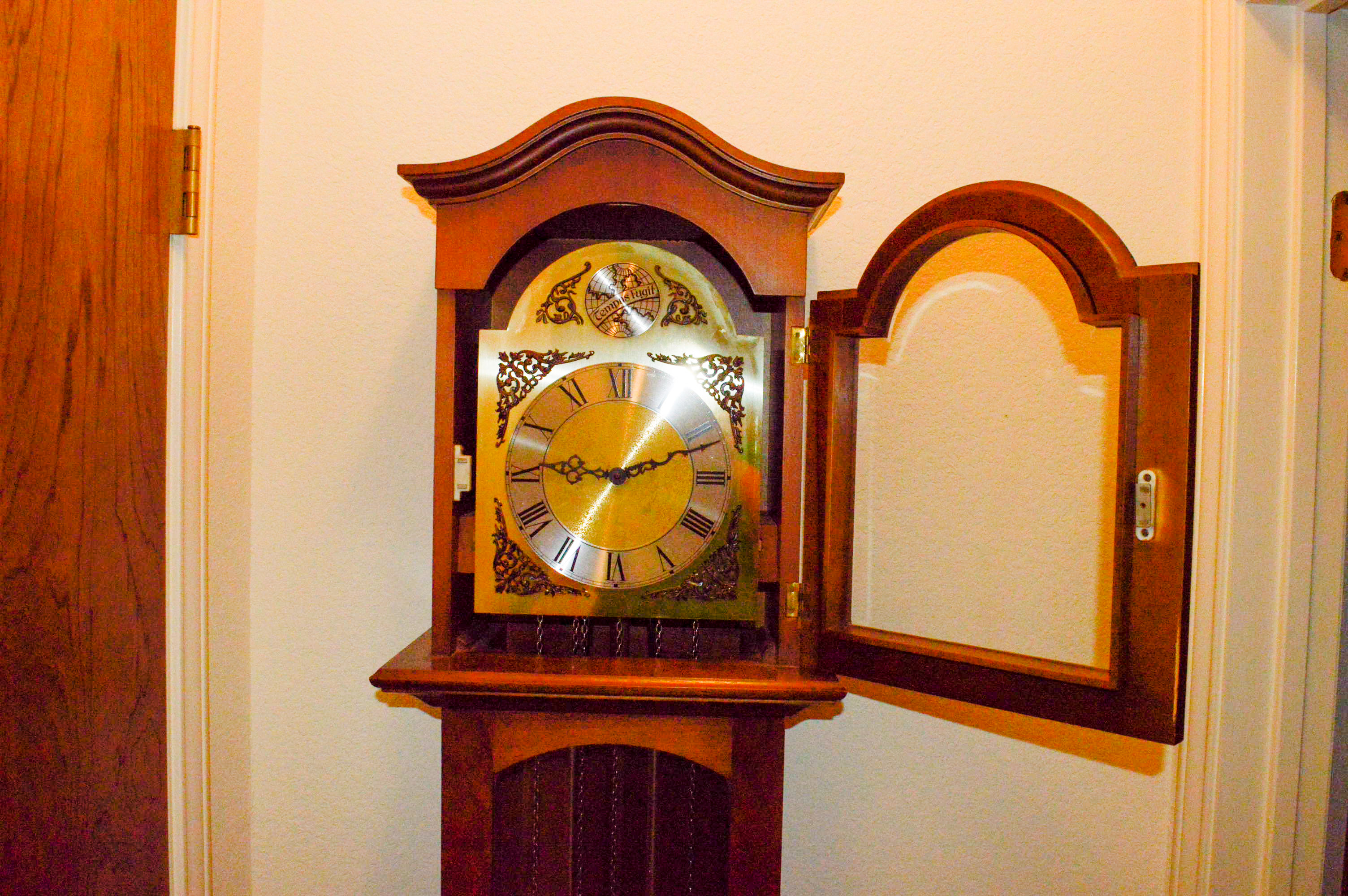 Tempus Fugit Western Germany Grandfather Clock EBTH