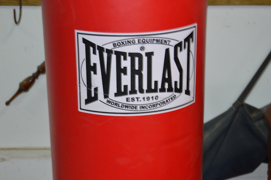 Everlast Free-Standing Punching Bag | EBTH