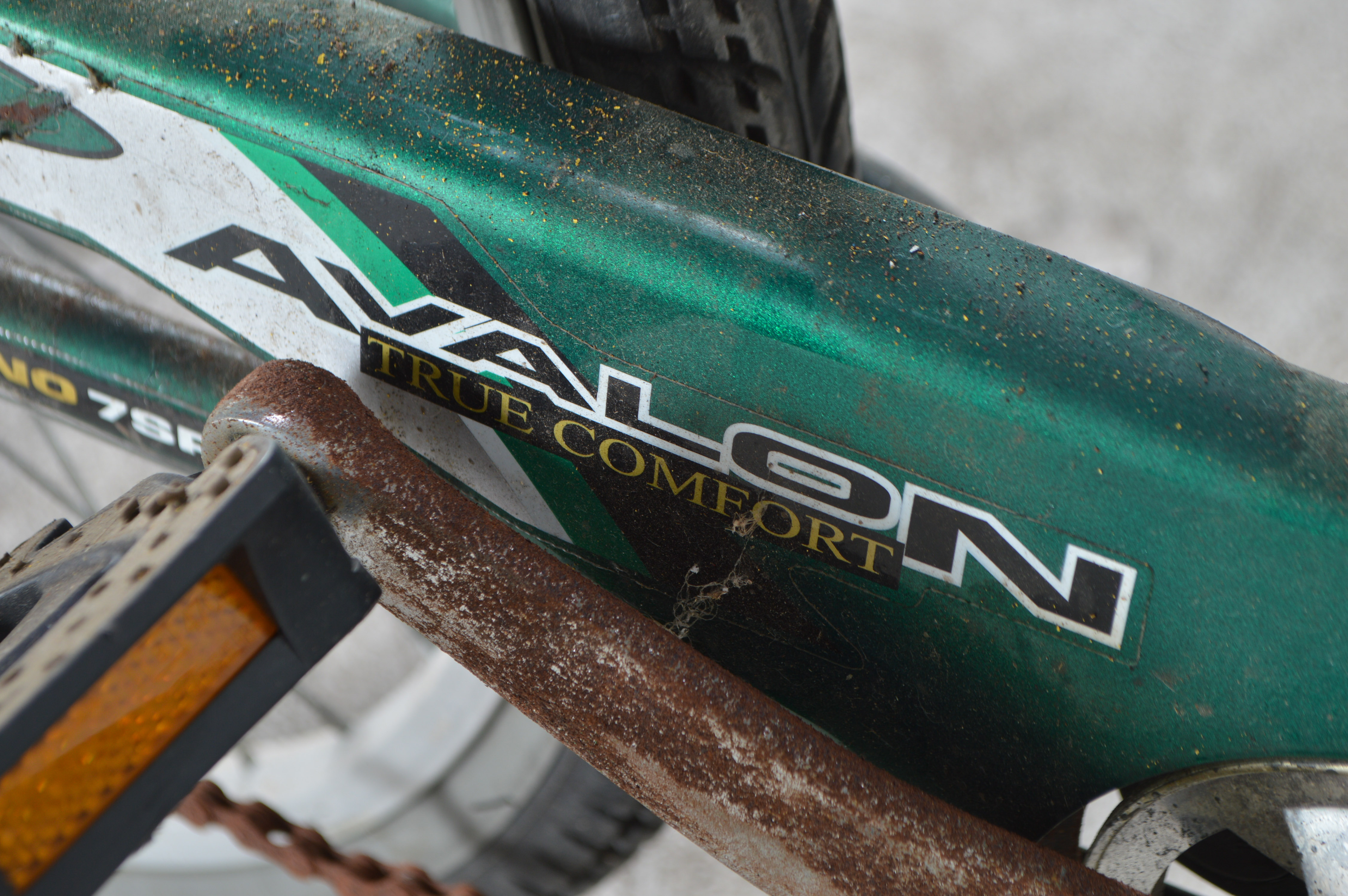 avalon aluminum comfort series 7 speed