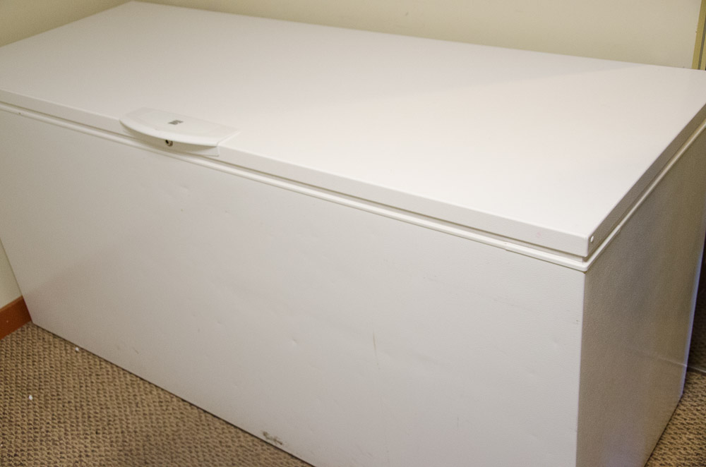 Kenmore 21.6 Cubic Foot Commercial Chest Freezer EBTH