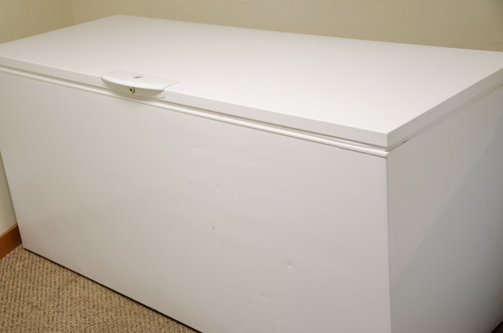 Kenmore 21.6 Cubic Foot Commercial Chest Freezer EBTH