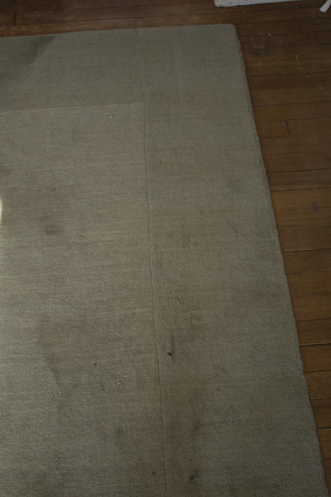 Pottery Barn Henley Rug EBTH