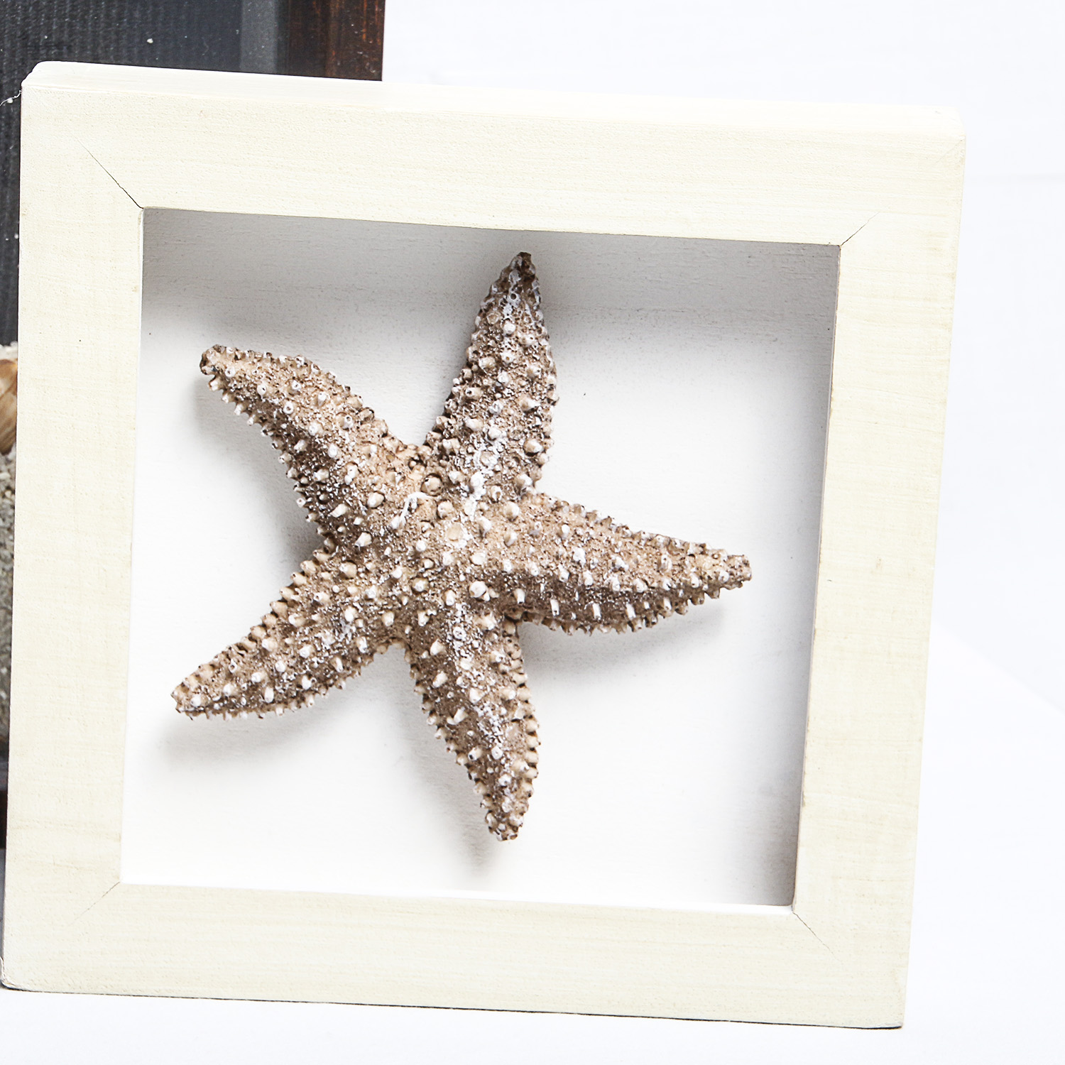 Pair of Framed Shell Wall Art Pieces | EBTH
