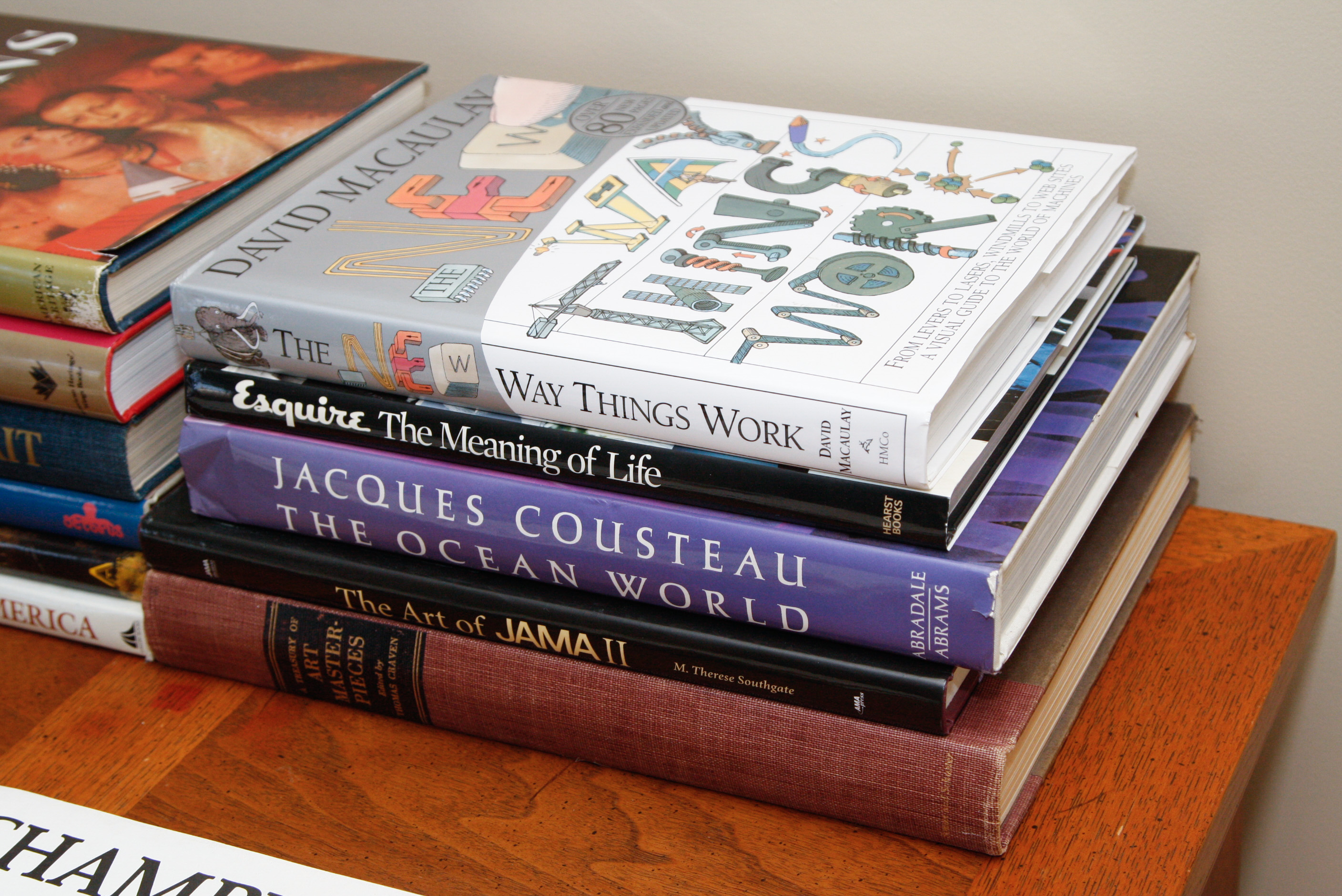 Collection of Coffee Table Books on Art, Horses, and More ...