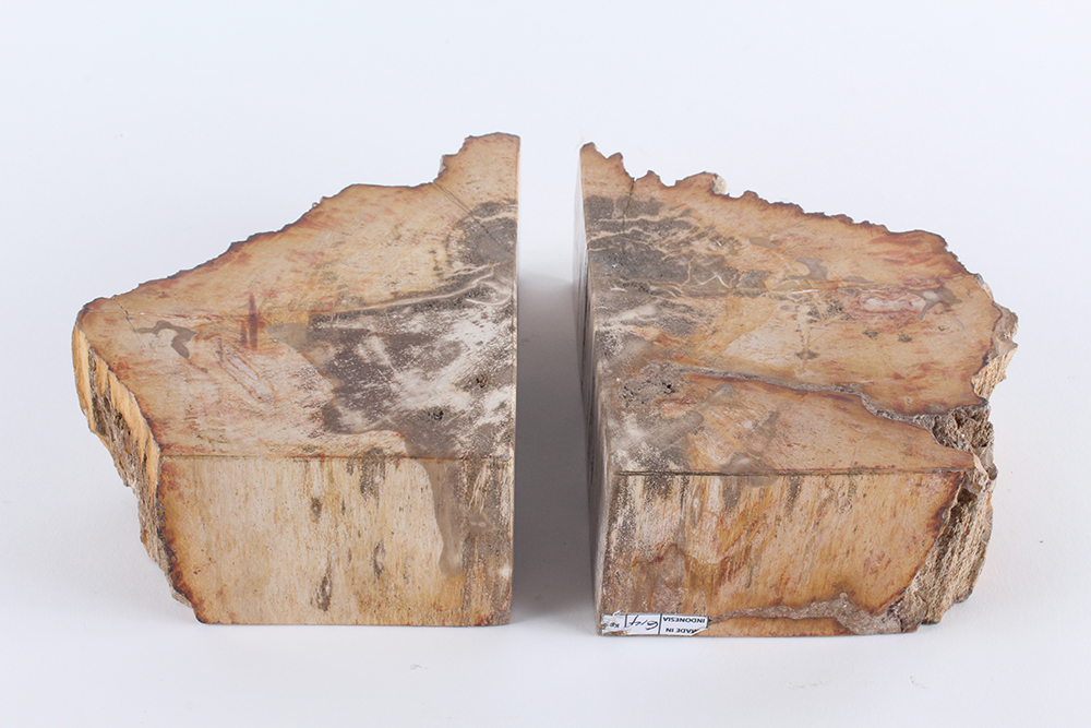 Petrified Wood Bookends EBTH