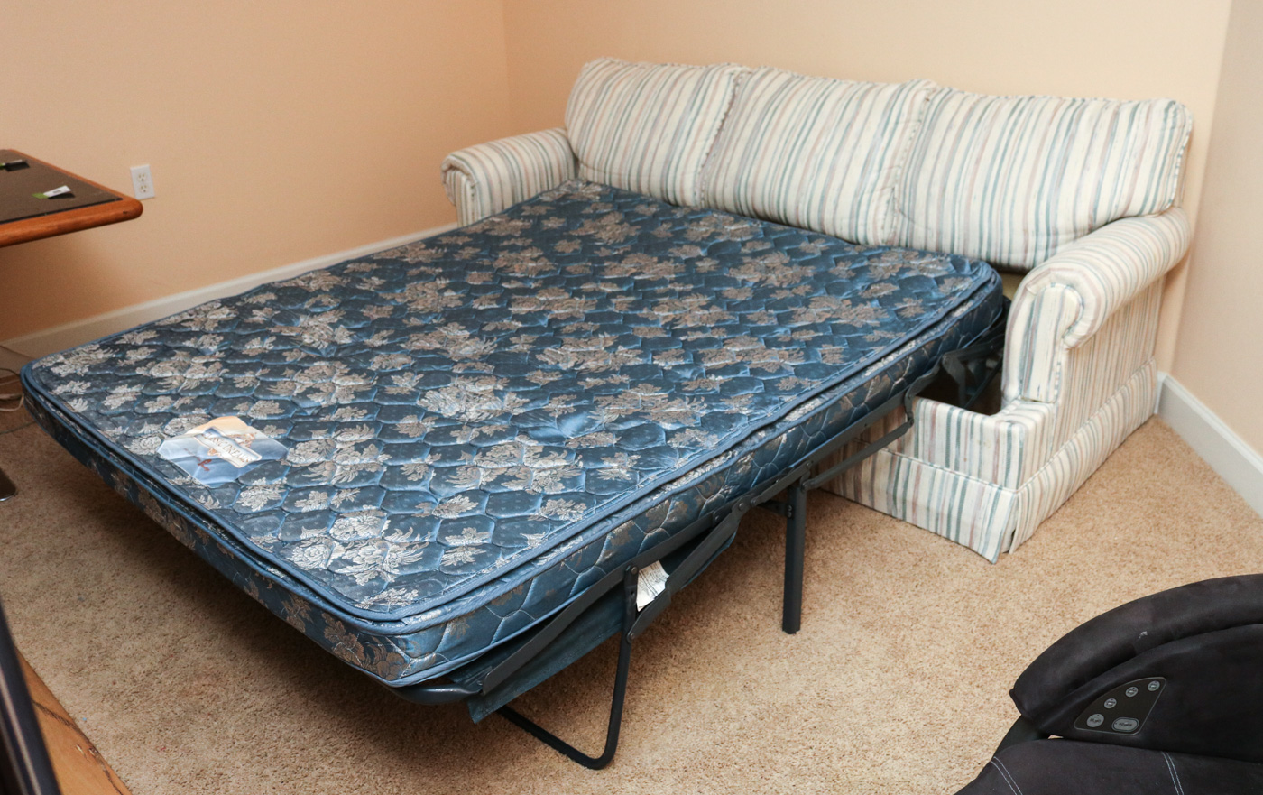 Striped Sofa Sleeper EBTH