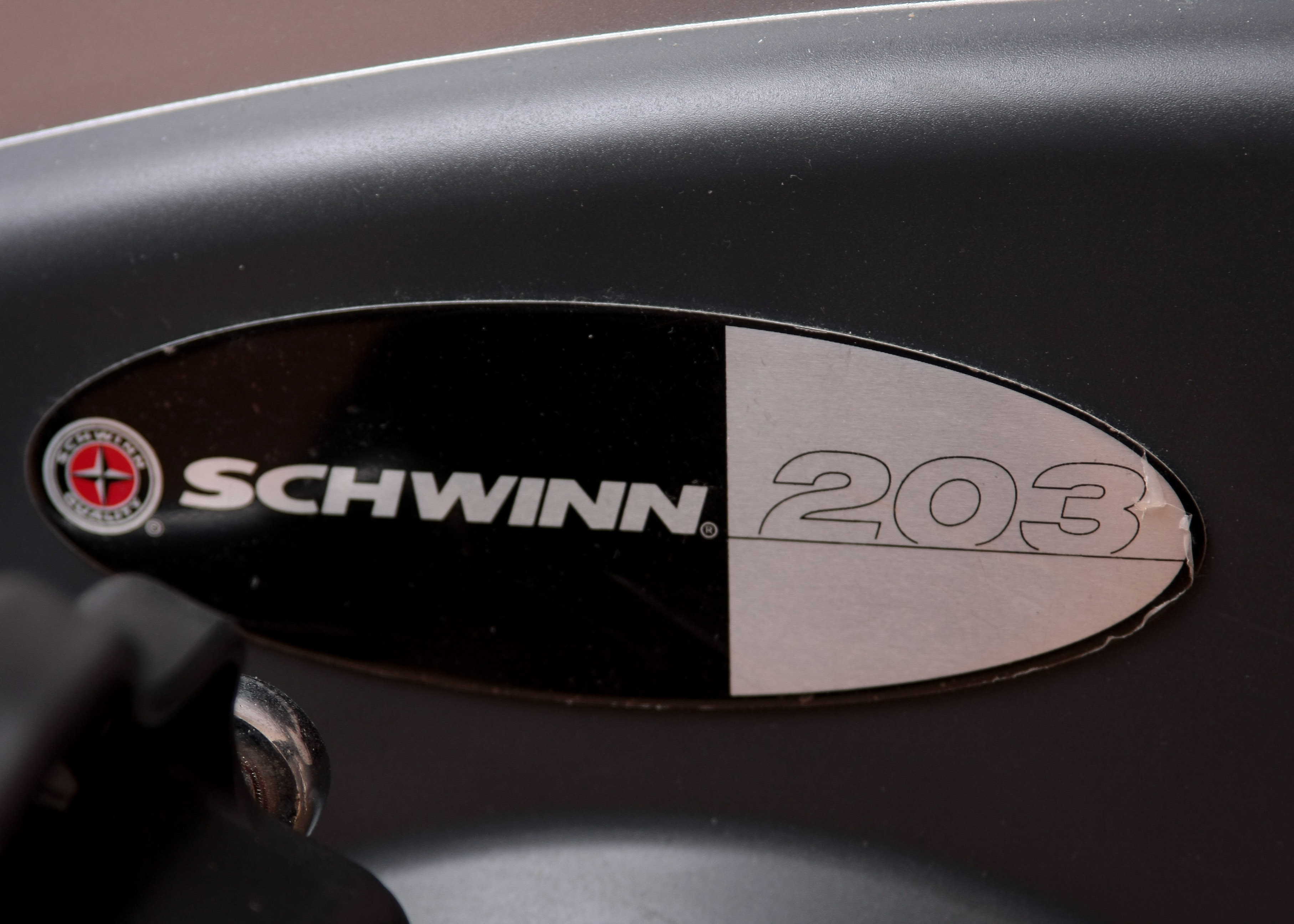 Schwinn 203 Recumbent Exercise Bike EBTH