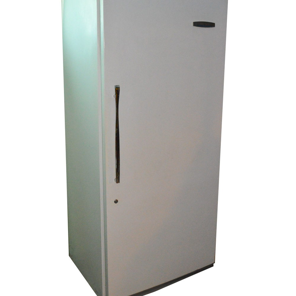 View Sears Coldspot 22 Chest Freezer Images