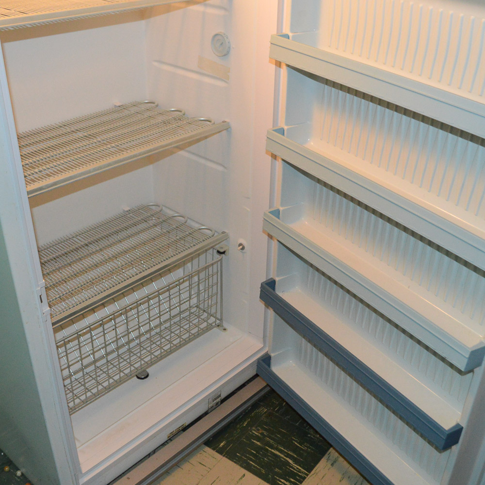 Vintage Sears Coldspot Freezer EBTH