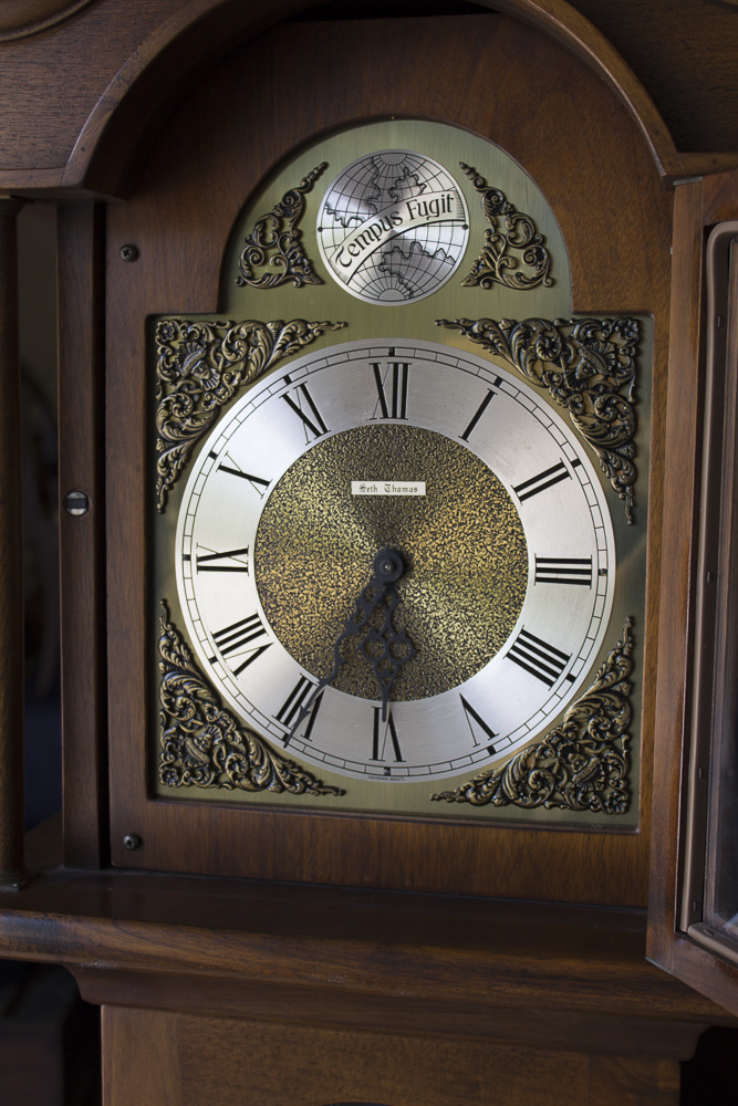 Seth Thomas "Tempus Fugit" Grandmother Clock EBTH