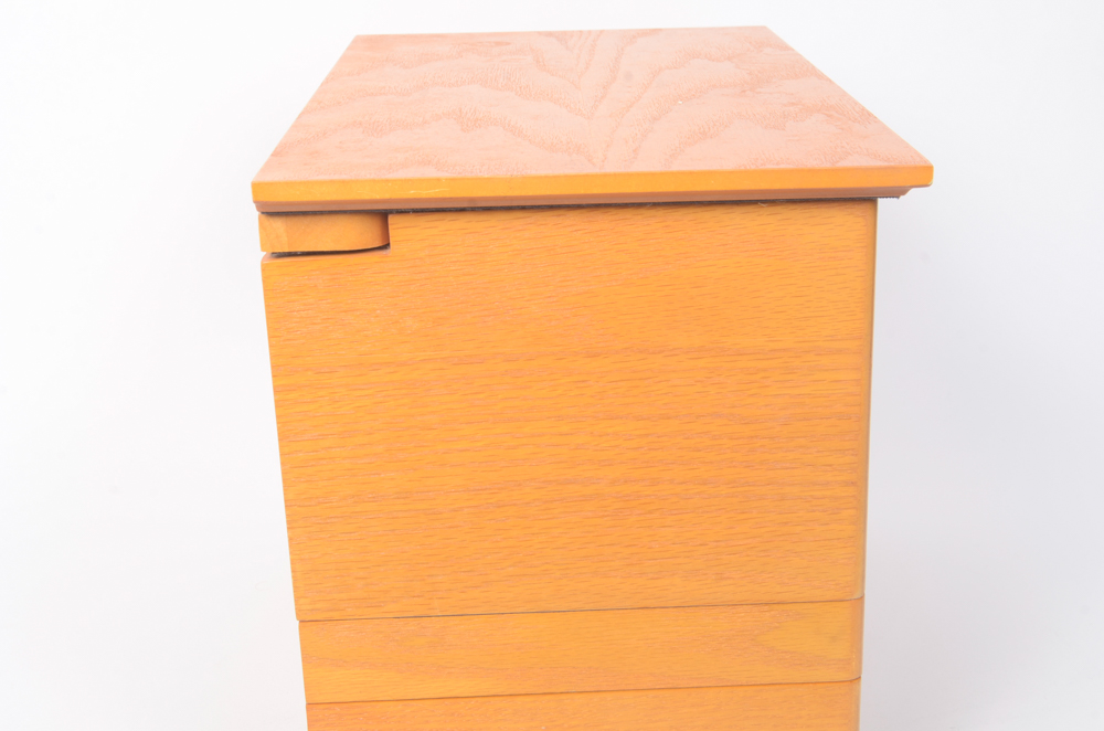 "For Your Ease Only" Jewelry Box by Lori Greiner EBTH