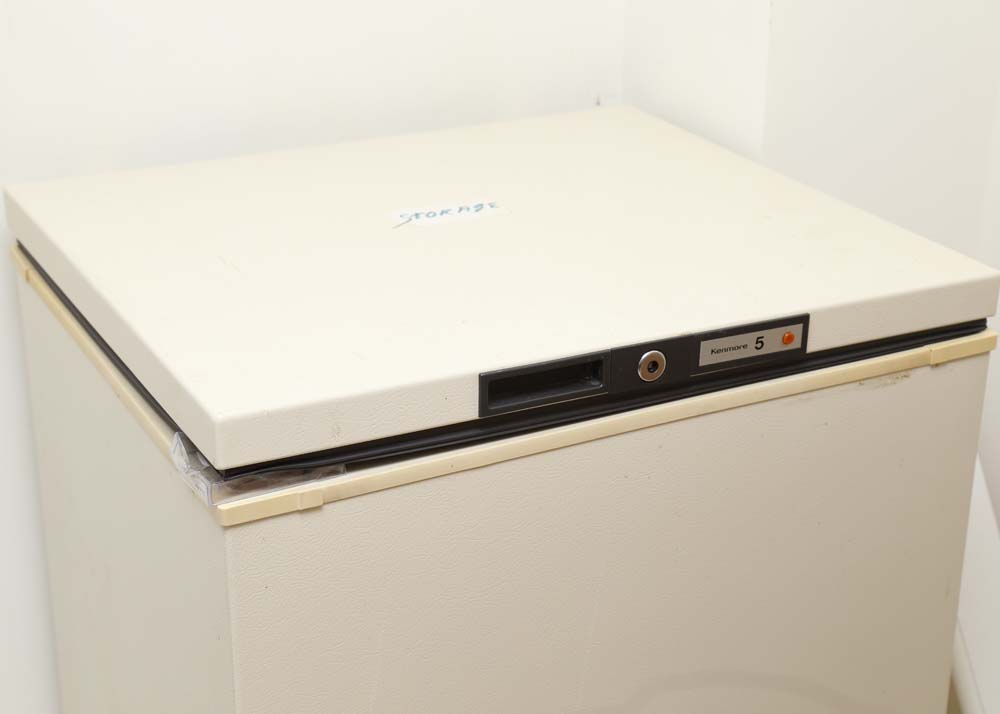Vintage Kenmore Coldspot Chest Freezor EBTH