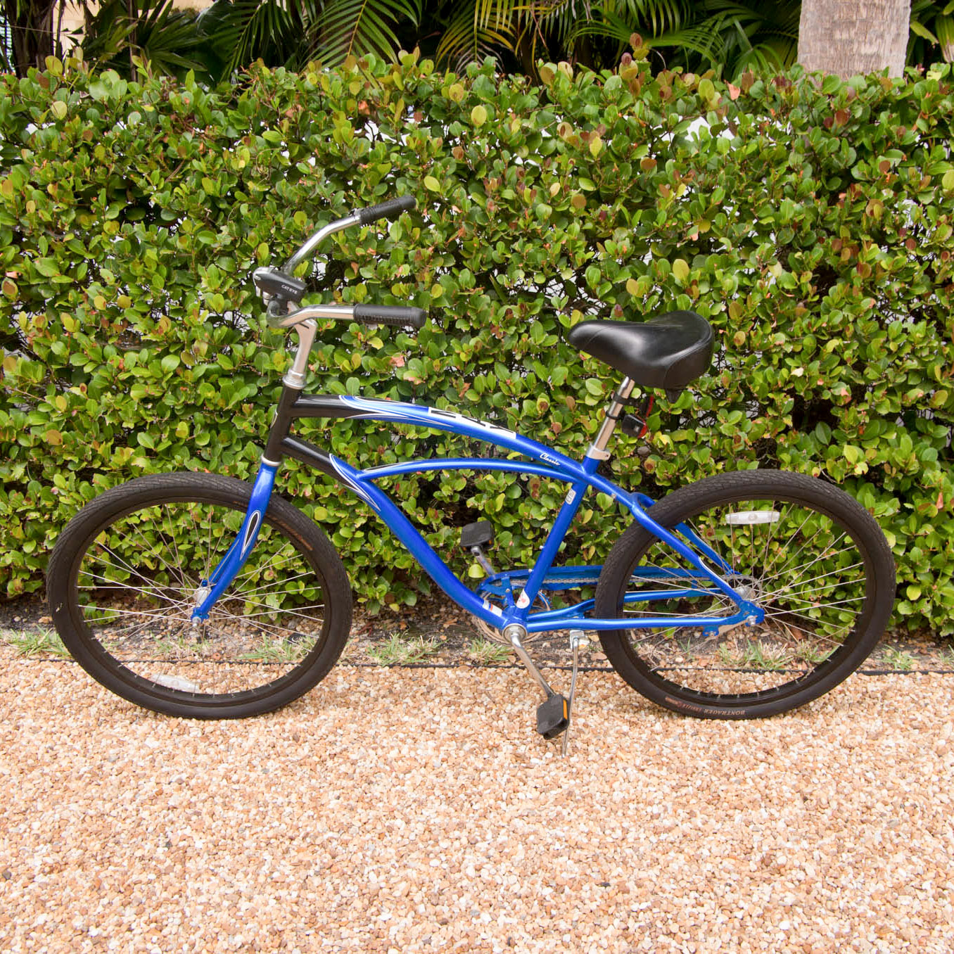 trek classic beach cruiser