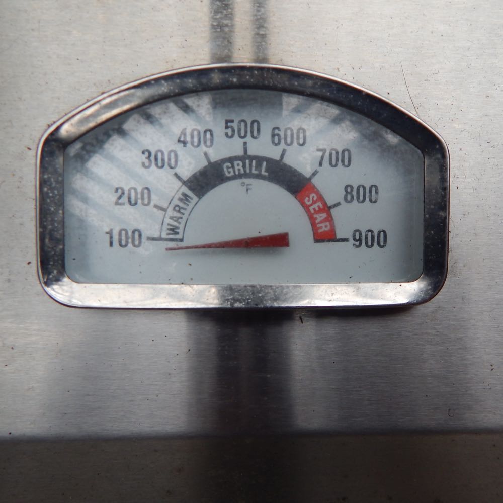 Sonoma Platinum Edition Stainless Steel Gas Grill EBTH