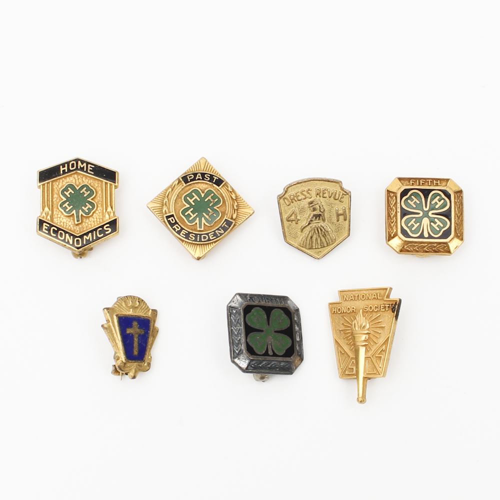 Vintage Lapel Pins EBTH