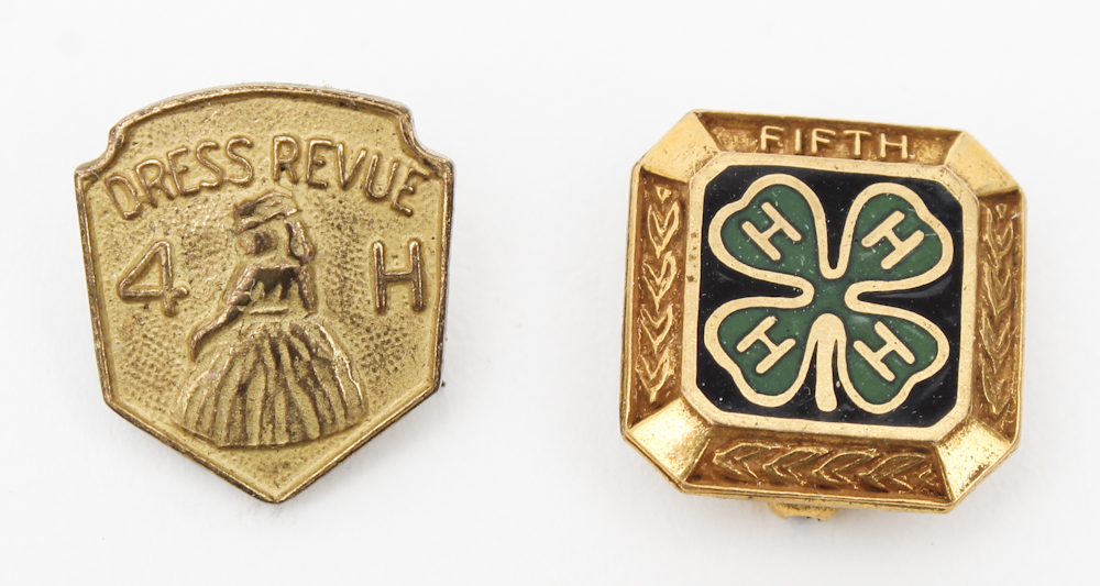 Vintage Lapel Pins EBTH