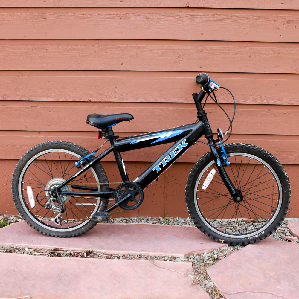 trek mountain lion bike