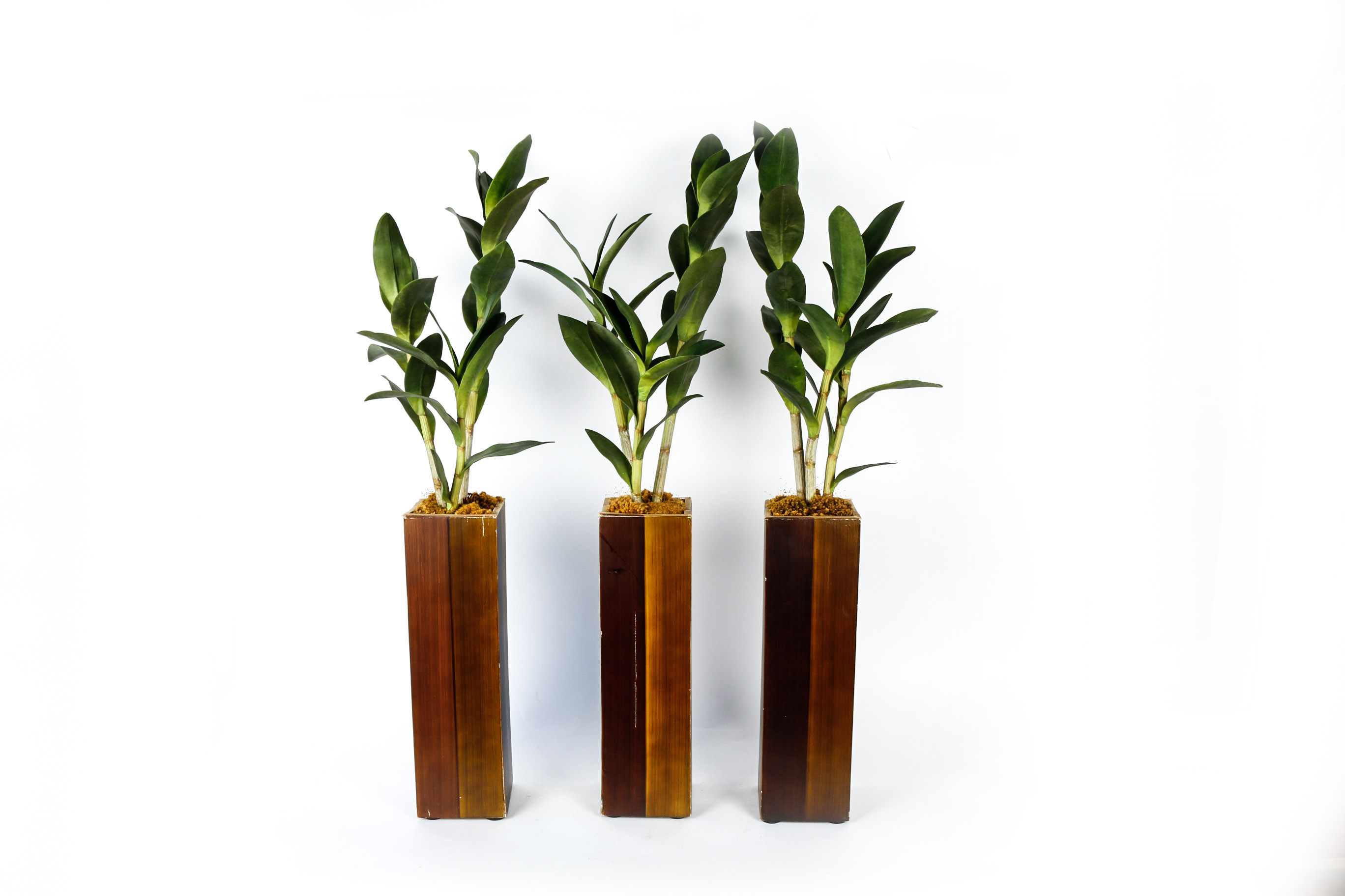 Silk Plants in Wooden Planters EBTH